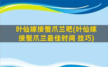 叶仙嫁接蟹爪兰吧(叶仙嫁接蟹爪兰最佳时间 技巧)